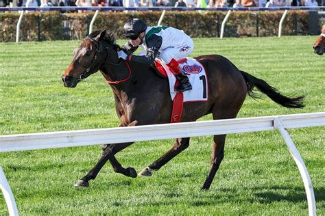 Champions Mile (VRC) .